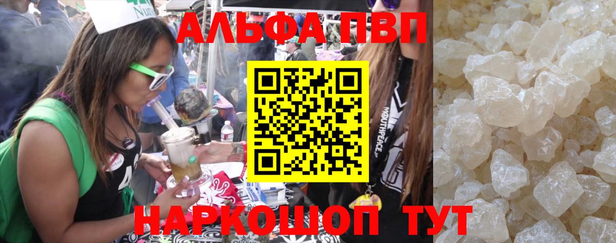Альфа ПВП СК Новокубанск