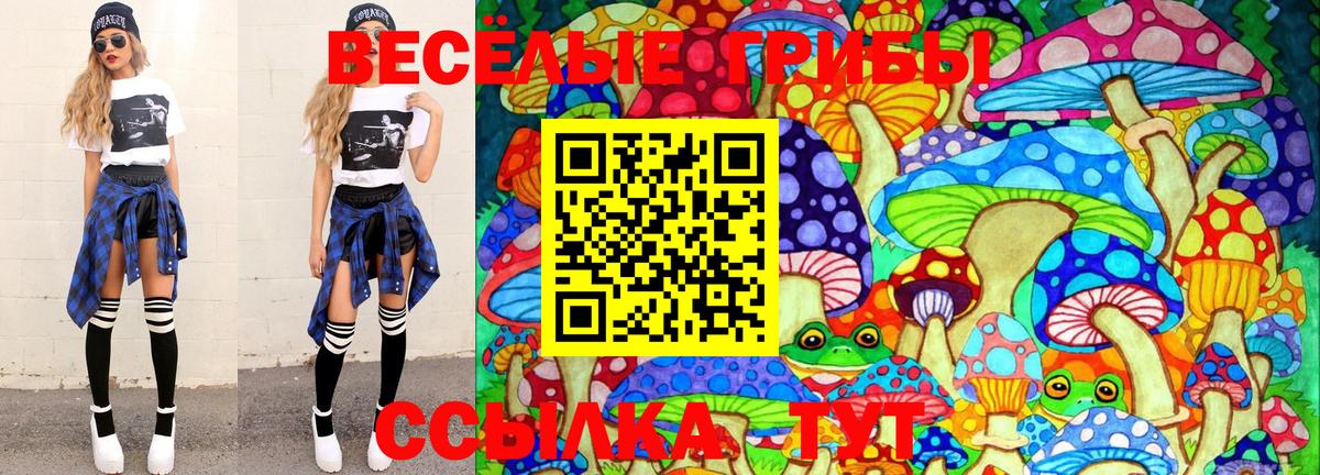 Новокубанск  Псилоцибиновые грибы Cubensis  где купить наркоту  Галлюциногенные грибы ЛСД  Вход с VPN 